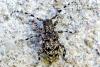 360630 – Photo : Guillaume Huot-Marchand – France (88)
